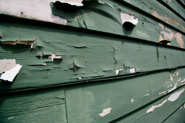 Historical Building Siding Restoration in Millington, MI