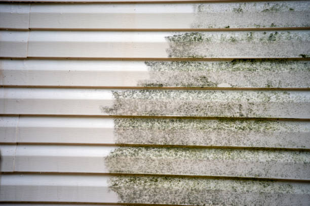 Best Aluminum Siding Installation  in Llington, MI