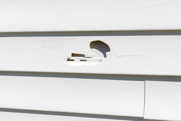 Best Siding Painting and Refinishing  in Llington, MI