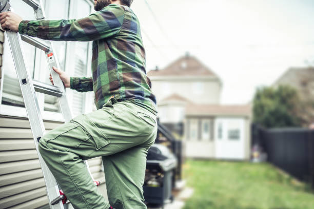 Best Custom Trim and Detailing for Siding  in Llington, MI