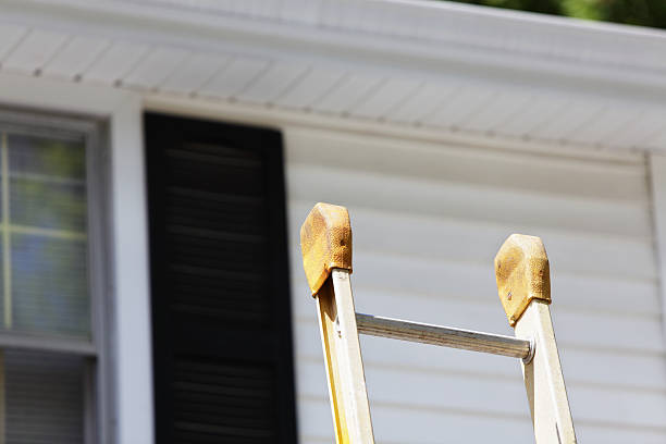 Best Wood Siding Installation  in Llington, MI