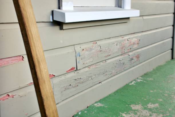 Best Siding Removal and Disposal  in Llington, MI