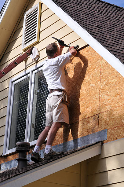 Best Stone Veneer Siding  in Llington, MI